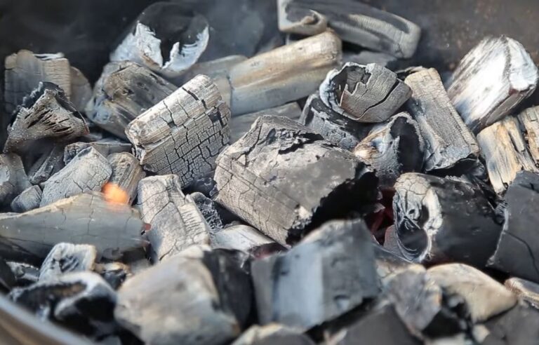 Can you Reuse Charcoal for Smoking? Of Course, You Can, Here’s How