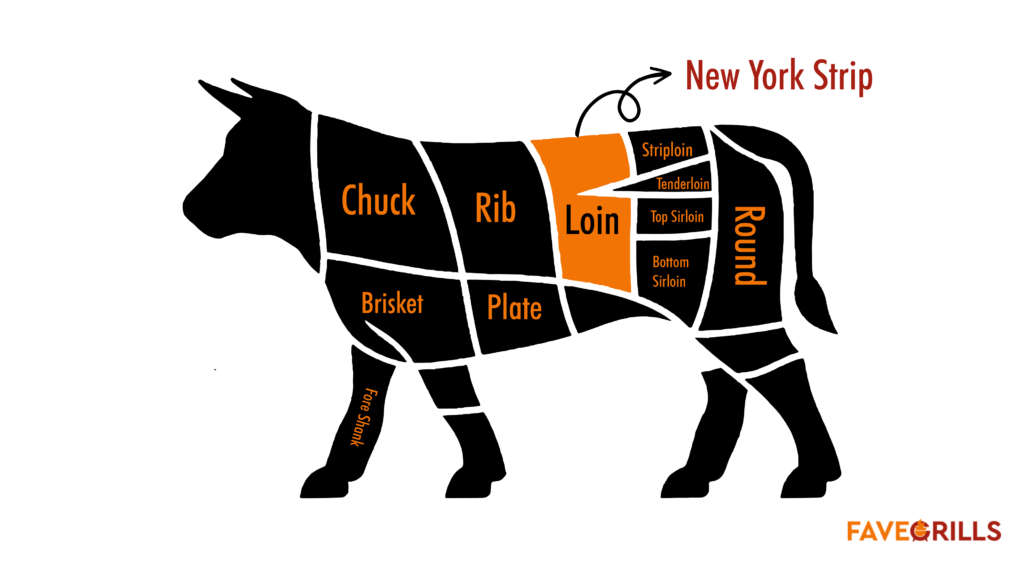 New York Strip Location Inside A Cow