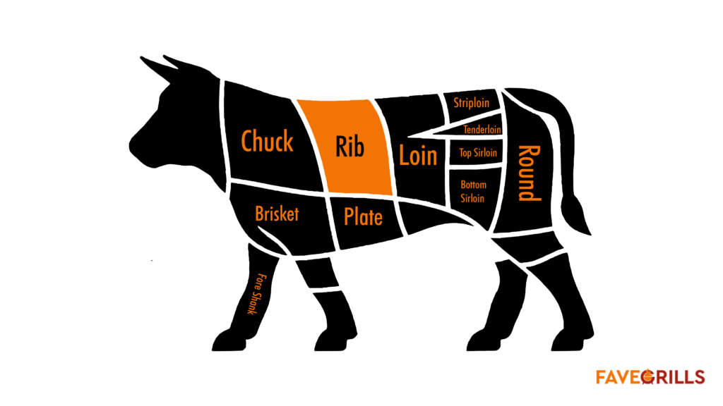 Where Is Ribeye On A Cow