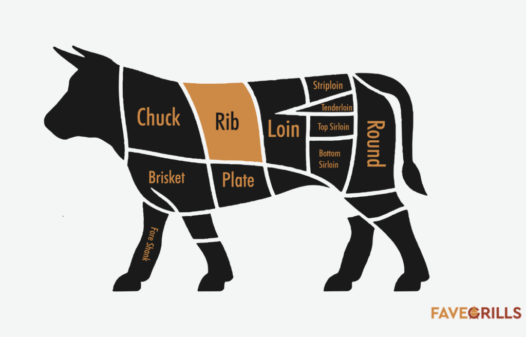 Where Is Ribeye Steak Located In A Cow